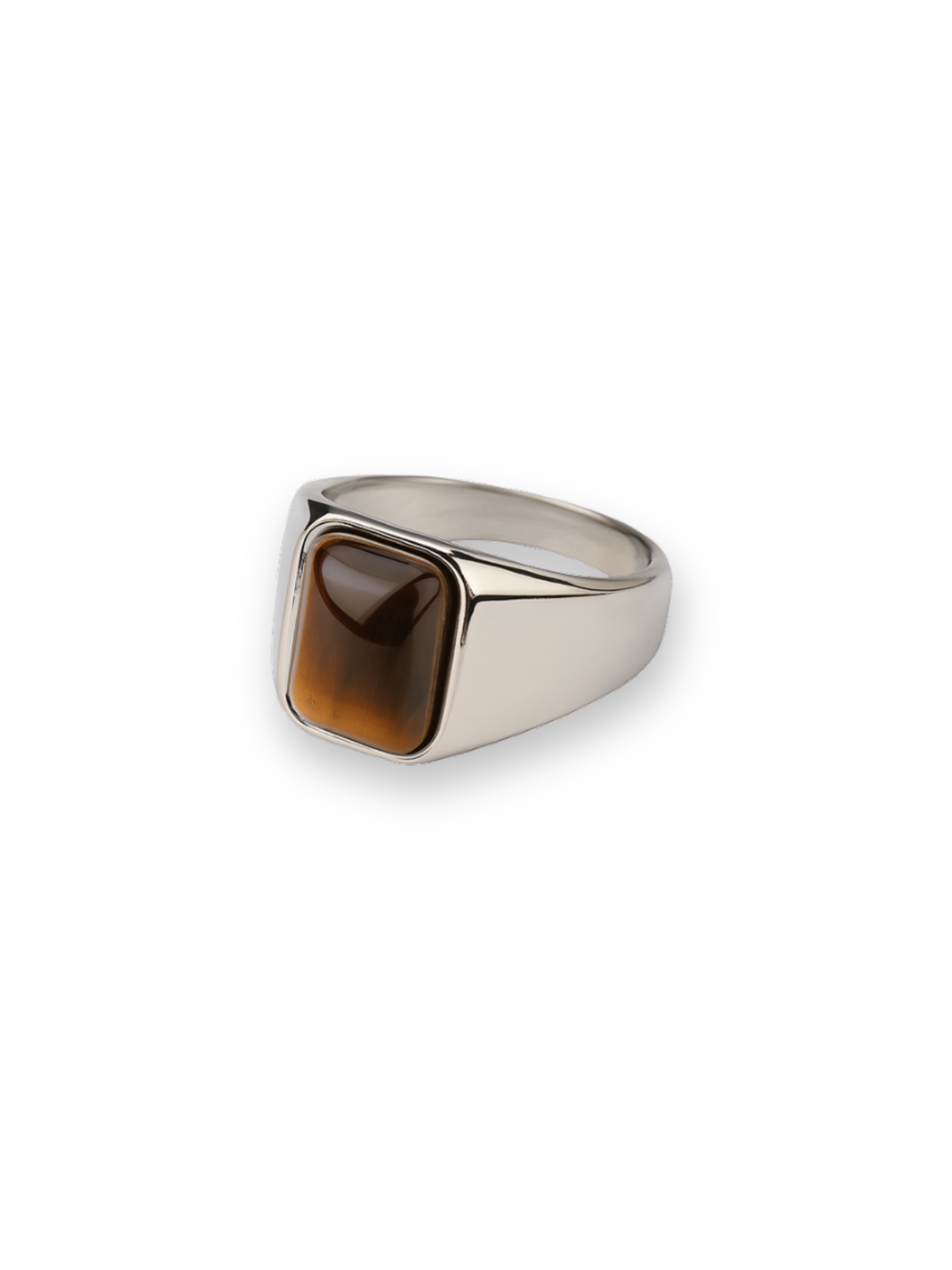 Terra Signet Ring